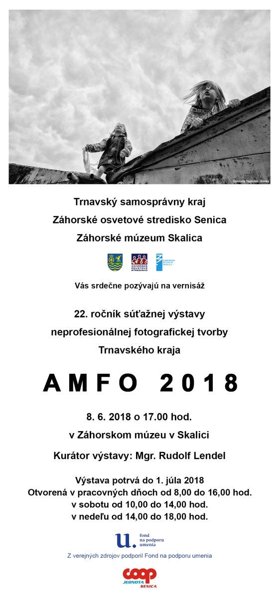 AMFO_2018.jpg AMFO_2018.jpg