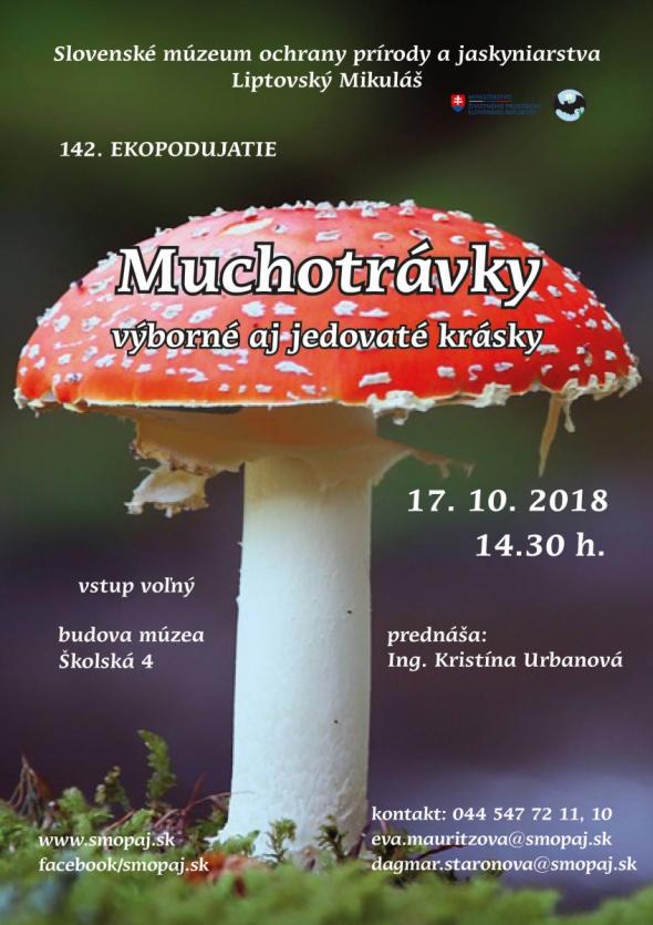Muchotrávky.jpg Muchotrávky.jpg