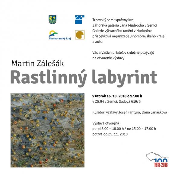 Rastlinný labyrint.jpg Rastlinný labyrint.jpg