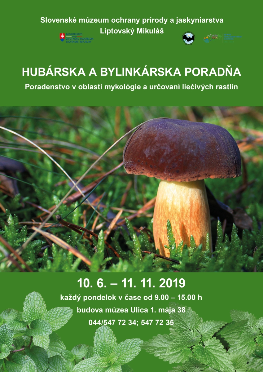 veľa rýb datovania poradenstvo