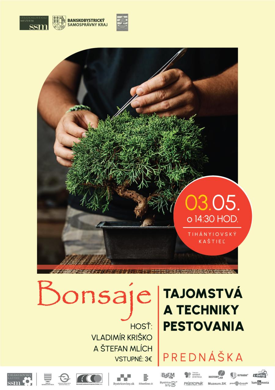 webFINAL-Bonsaje-tajomstva a techniky (1).jpg