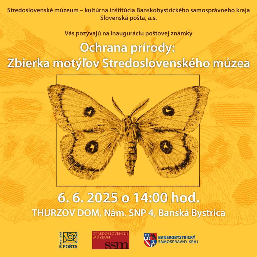 Motýle_stvorec copy.jpg