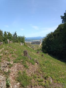 Pustý hrad, Zvolen