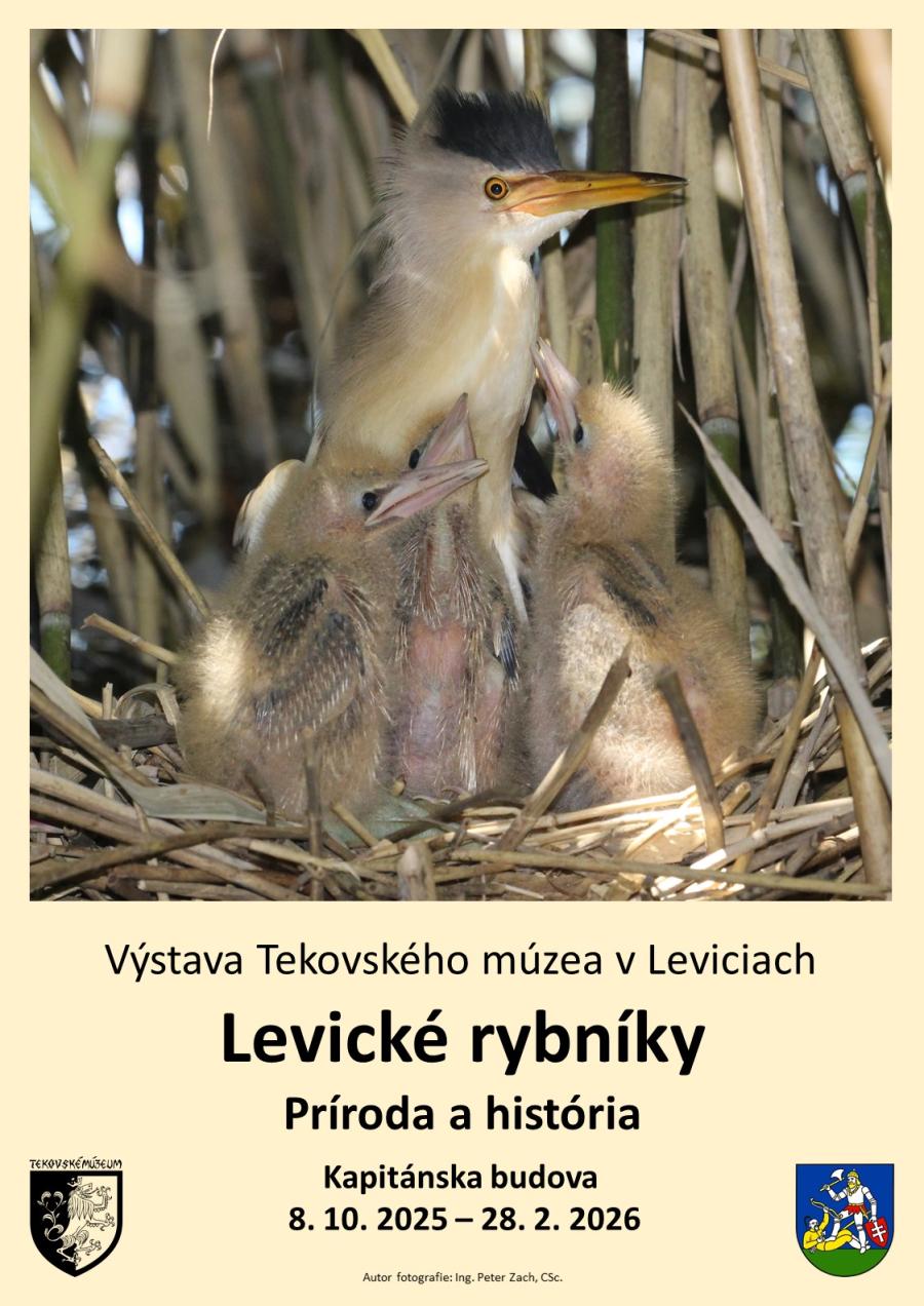 Plagát jpg.jpg
