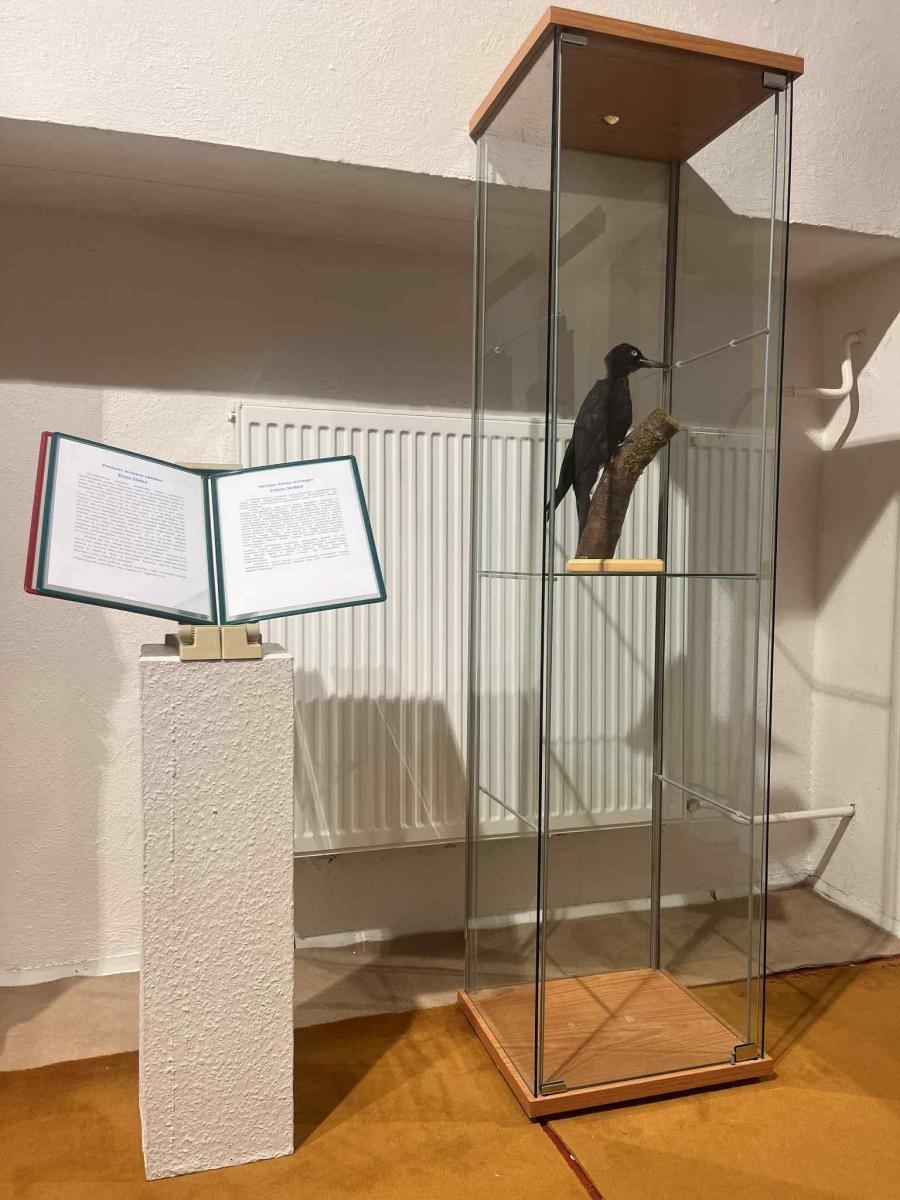 Predmet mesiaca október - Tesár čierny Fotogaléria