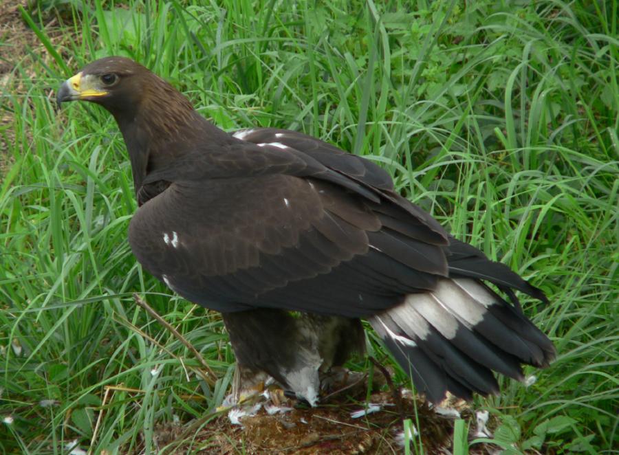 Fotogaléria