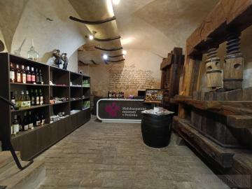 Malokarpatské múzeum v Pezinku (2025)