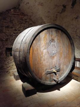 Malokarpatské múzeum v Pezinku (2025)