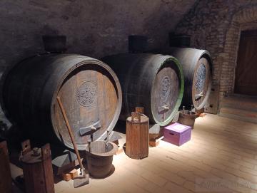 Malokarpatské múzeum v Pezinku (2025)