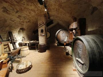 Malokarpatské múzeum v Pezinku (2025)