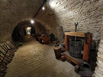 Malokarpatské múzeum v Pezinku (2025)