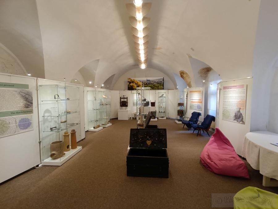 Literárne a vlastivedné múzeum vo Svätom Jure