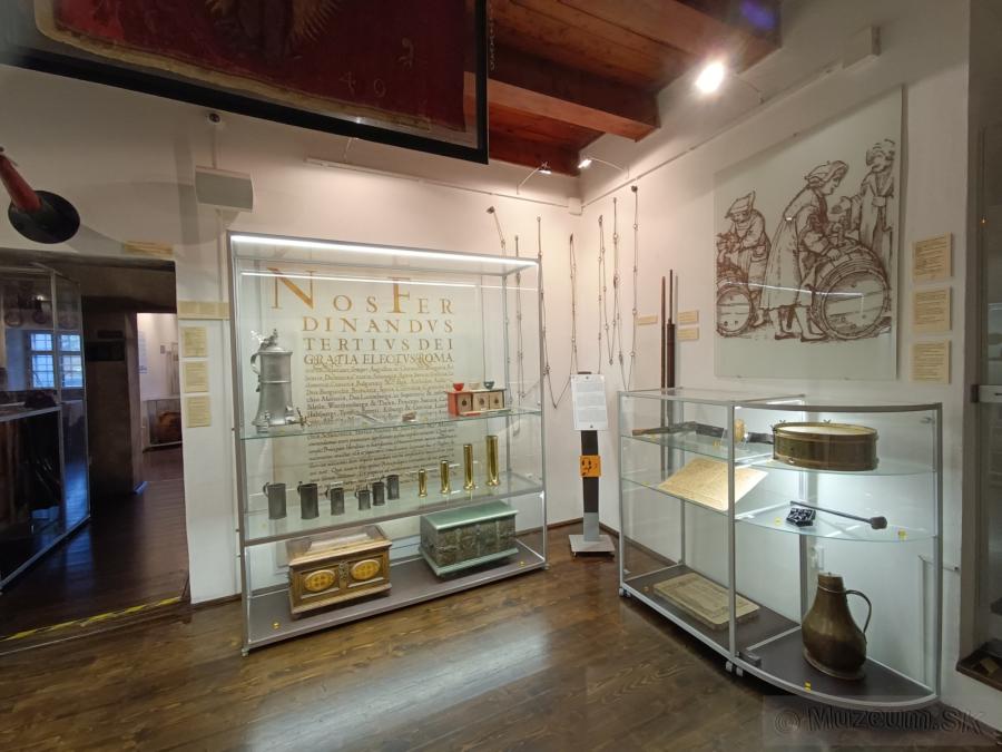 Malokarpatské múzeum v Pezinku