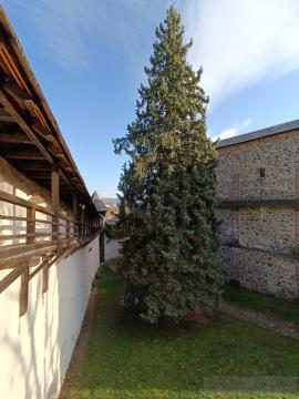 Starý Zámok, Banská Štiavnica (2025) Fotogaléria