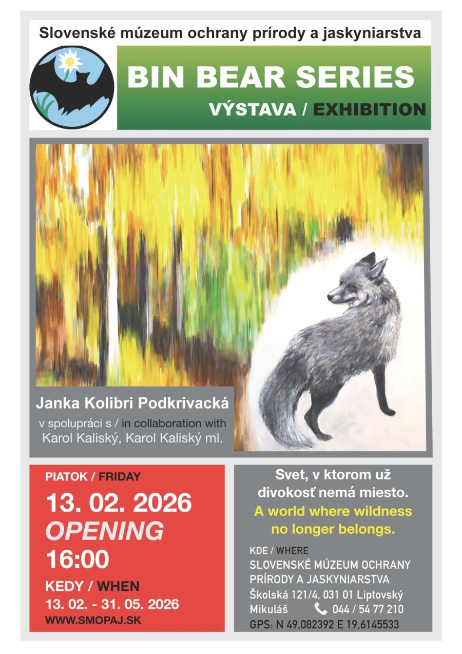 Pozvánka, plagát Bin Bear.jpg