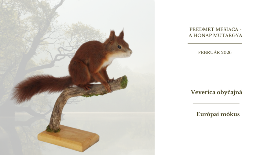 FEBRUÁR 2026.png FEBRUÁR 2026.png