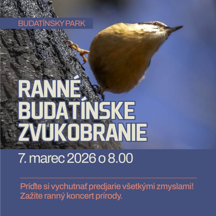 Ranné budatínske zvukobranie Fotogaléria